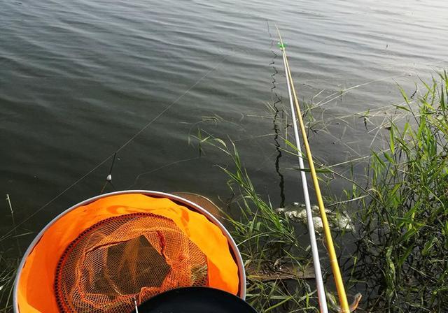釣魚塘怎么釣_釣魚魚塘技巧圖解_魚塘釣魚技巧