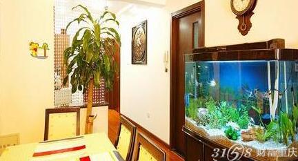 小米魚缸養魚數量_魚缸養魚數量風水_魚缸養魚數量