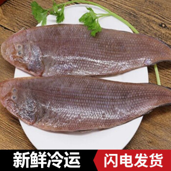 龍利魚魚是什么魚_魚龍利魚_龍利魚是什么魚