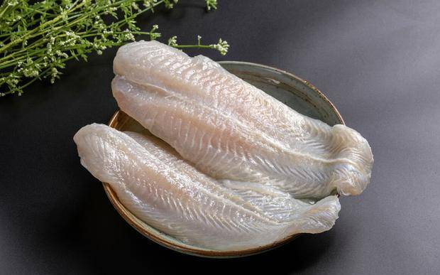 龍利魚是什么魚_魚龍利魚_龍利魚魚是什么魚