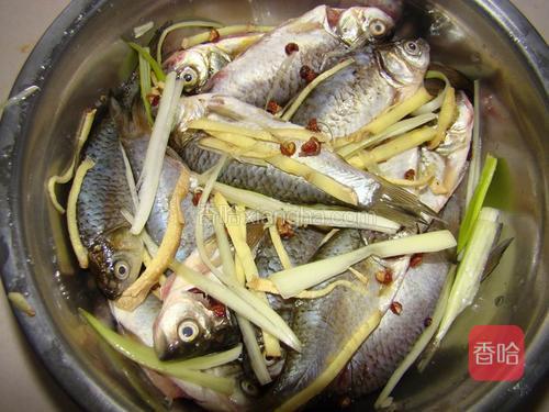 魚巴沙魚怎么炸才好吃_巴沙魚_巴沙魚價格一斤多少錢