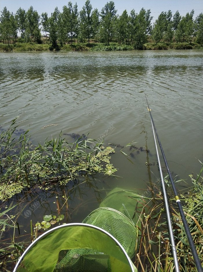 調節魚漂視頻教程_魚漂調整教程高手_魚漂的調法圖解