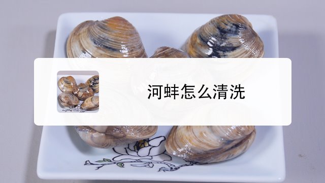 殺河蚌會報應嗎_殺河蚌的藥_河蚌怎么殺
