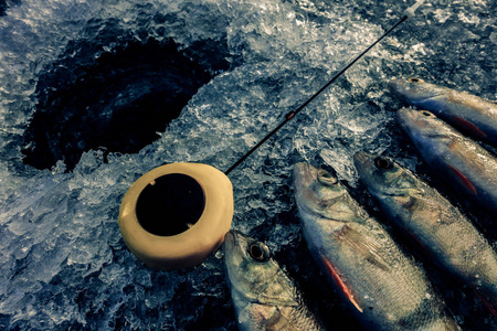 冬季釣魚技巧_釣魚冬季技巧和方法_釣魚冬季技巧圖解