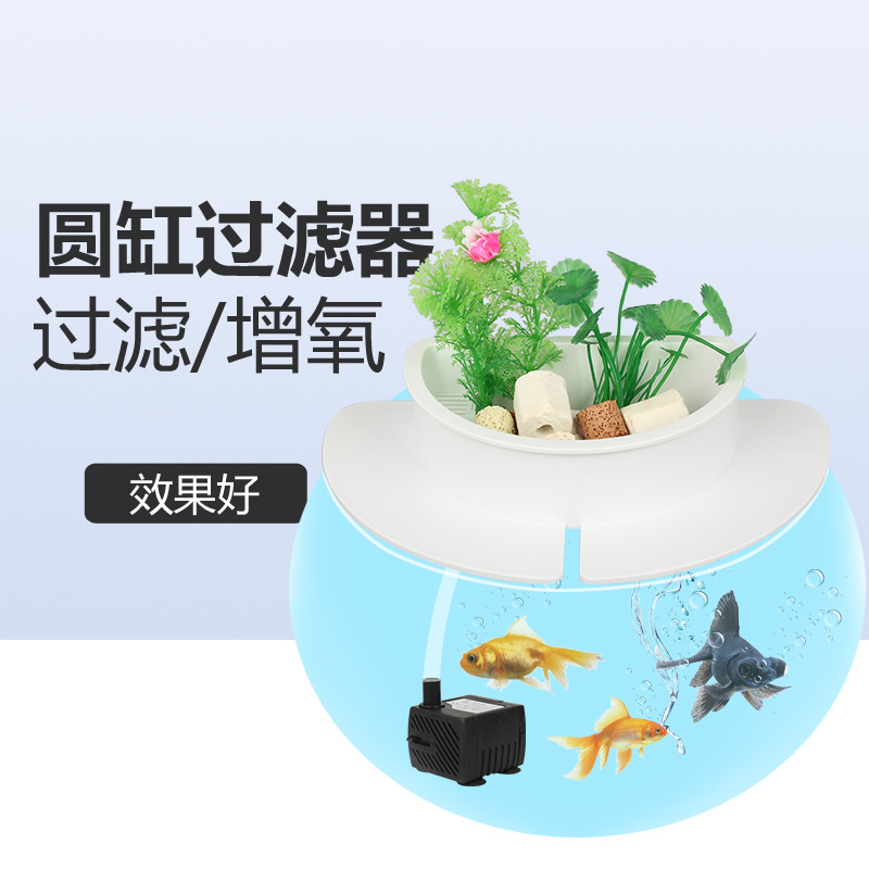 觀賞魚缸水發綠怎么辦_觀賞魚缸圖片大全_觀賞魚缸