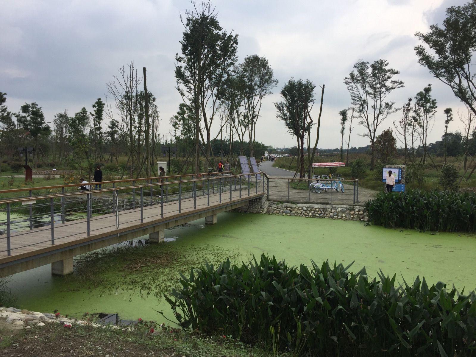 漢石橋濕地感受_漢石橋濕地保護區_漢石橋濕地