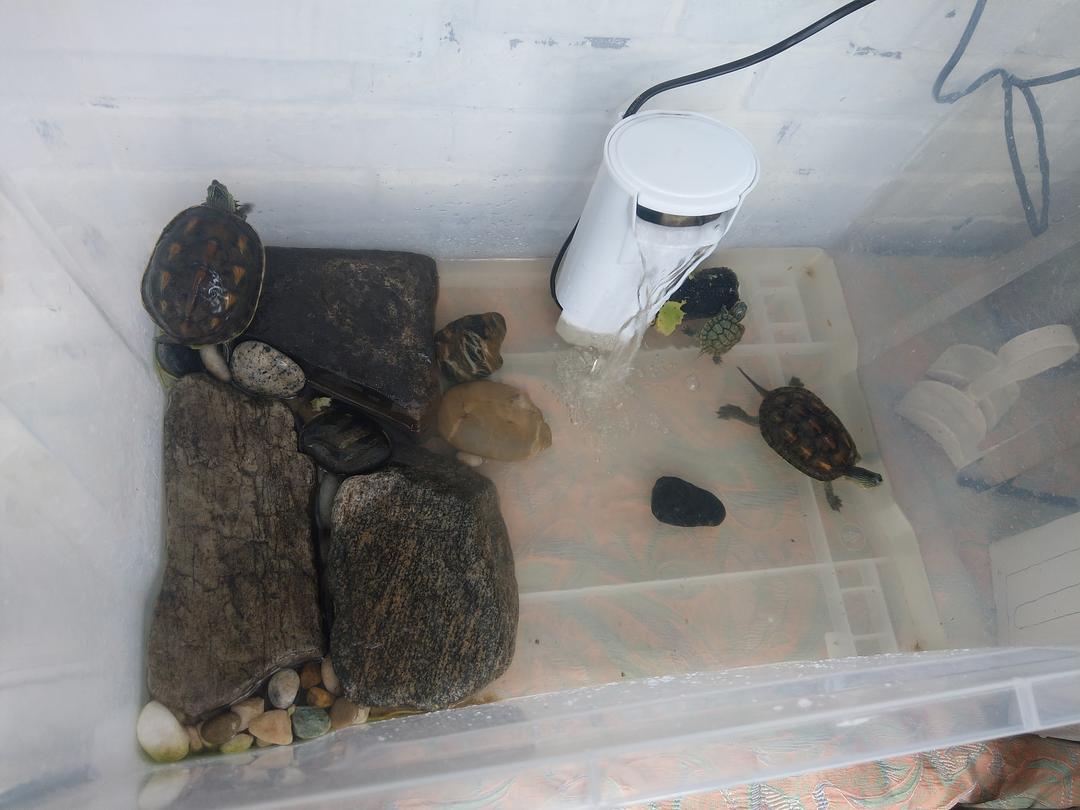 如何沼澤過濾_沼澤過濾_沼澤過濾教學視頻