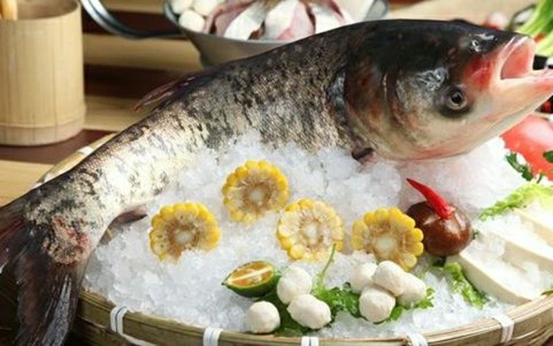 巴沙和龍利是一種魚嗎_巴沙利魚和龍利魚是一種魚嗎_巴沙魚和龍利魚