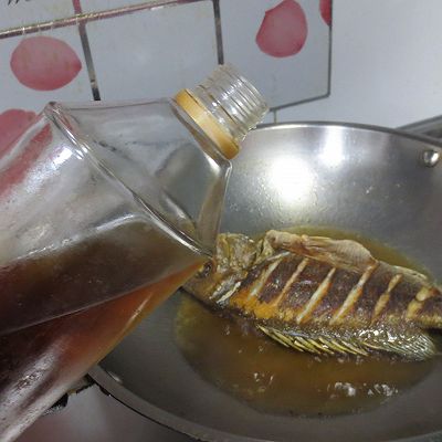 鰨目是什么_鰨目是什么_鰨目是什么