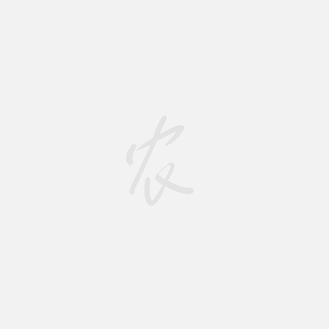 今天吃什么？我來幫你搭配“一日三餐”