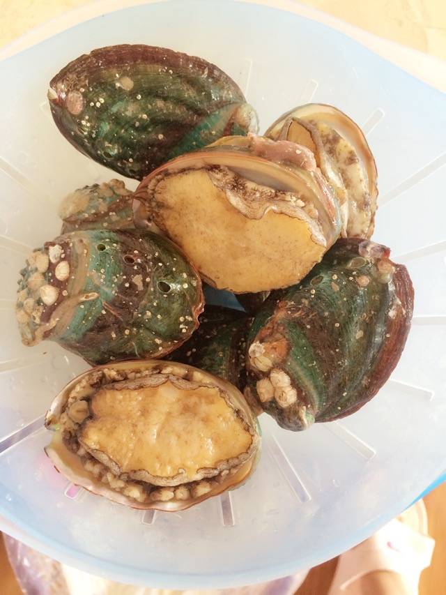 吃鮑魚主要是吃它的哪個部位_吃鮑魚主要吃它的哪里_吃鮑魚主要吃什么部位