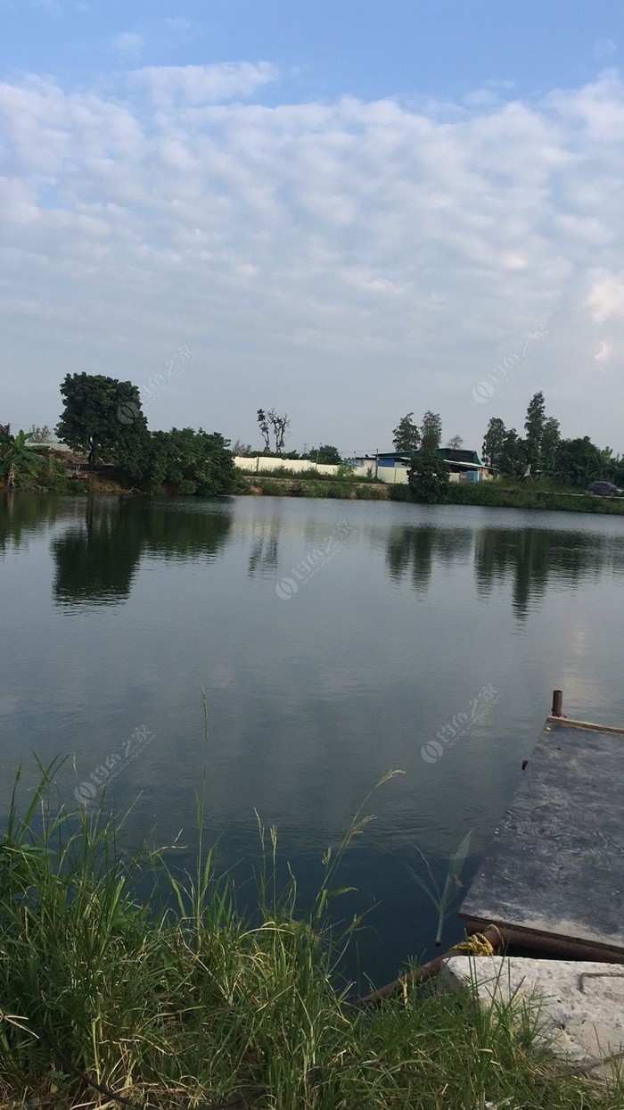 釣魚廣州話怎么說_廣州釣魚圣地_廣州釣魚