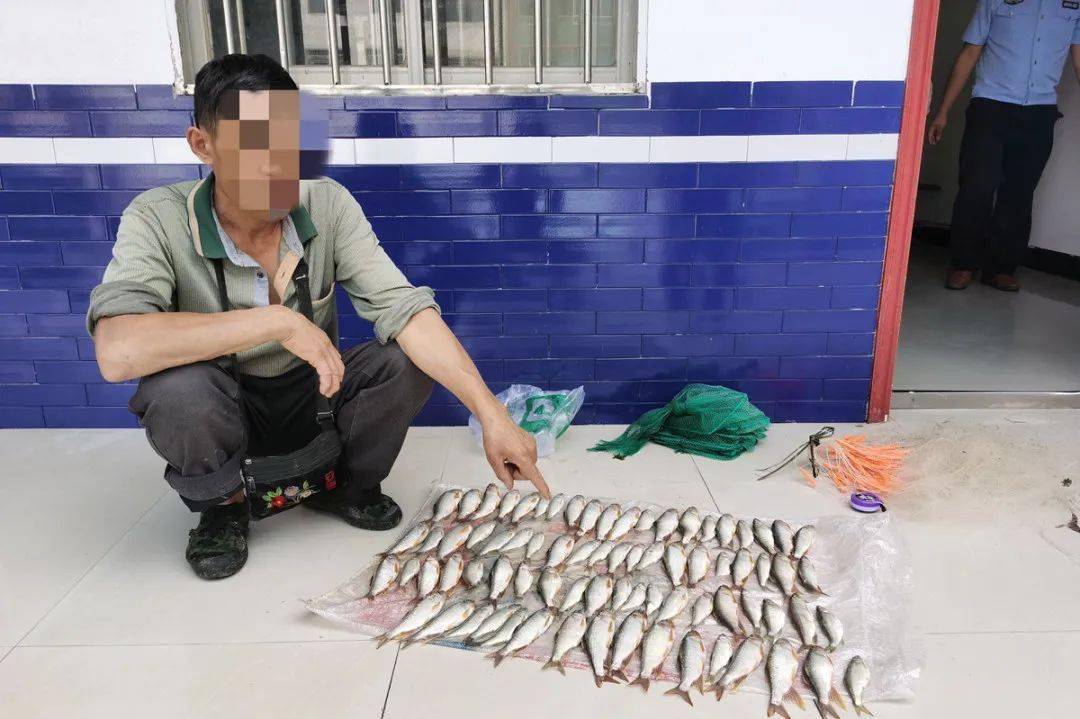 秋季釣魚_釣魚秋季釣魚選什么位置_釣魚秋季餌料