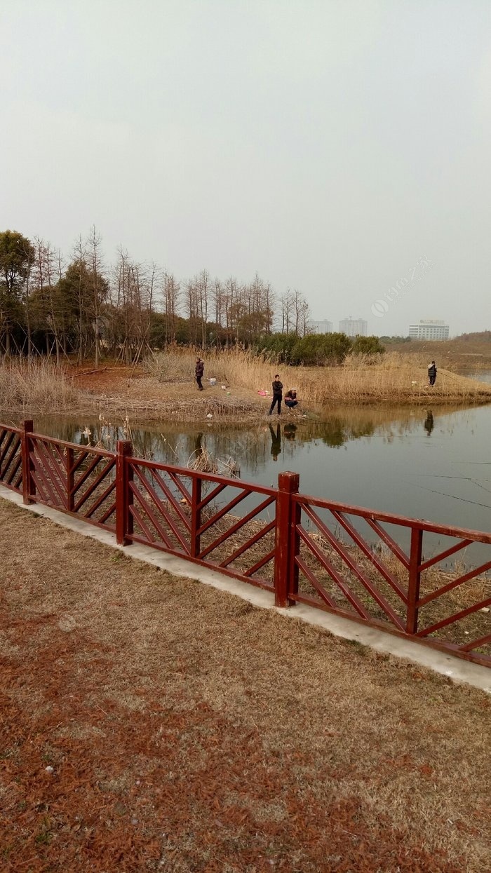 釣魚上海話_上海釣魚吧百度貼吧_上海釣魚