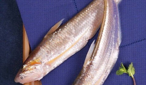 刀魚多少錢一斤_刀魚多少錢一斤_刀魚多少錢一斤