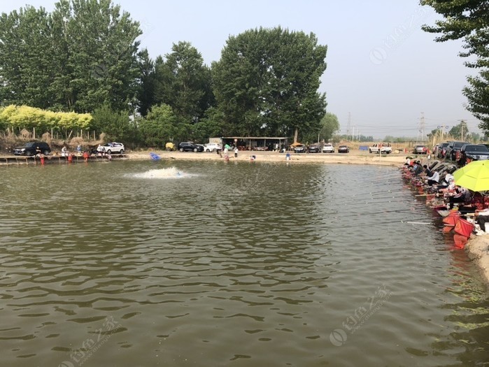 北京釣魚大師_北京大眾釣魚網app_北京大眾釣魚網