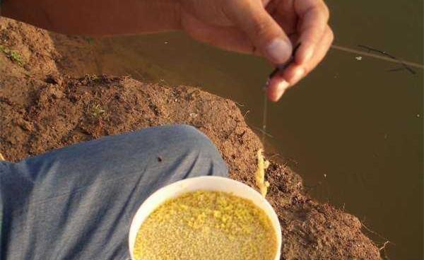 釣水庫大魚實用技術_水庫釣大魚用什么餌_水庫釣大魚