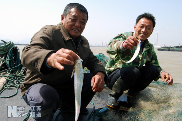 刀魚多少錢一斤_刀魚多少錢一斤_刀魚多少錢一斤