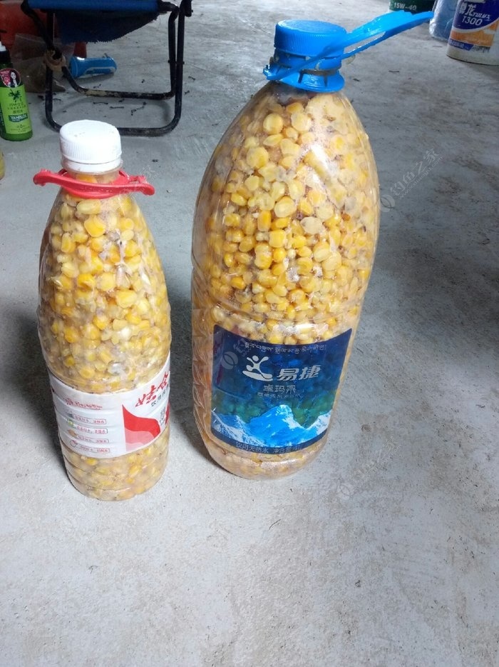 釣水庫大魚實用技術_釣水庫大魚用什么樣的魚竿_水庫釣大魚