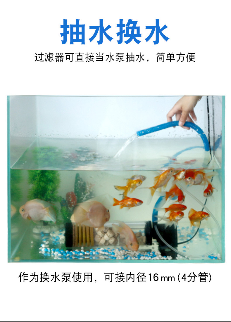 魚缸造景木頭不沉怎么辦_魚缸造景_魚缸造景文案短句干凈