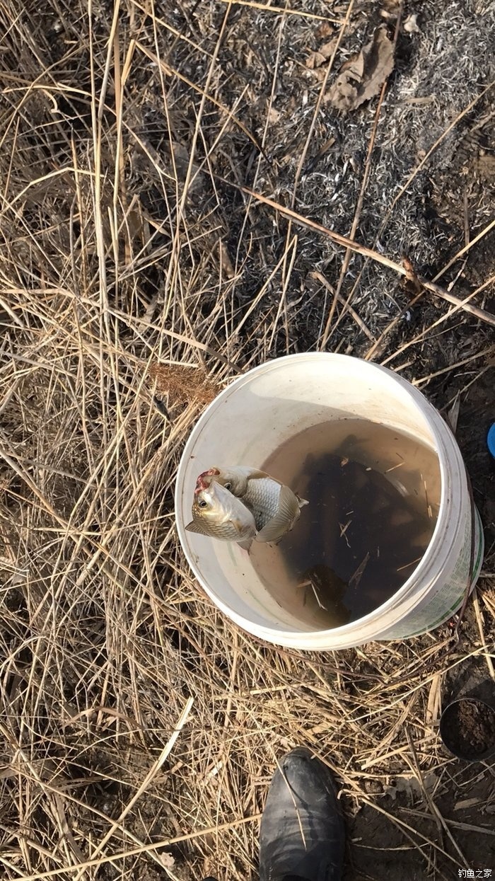 釣魚夏季技巧視頻_夏季釣魚技巧口訣_夏季釣魚技巧