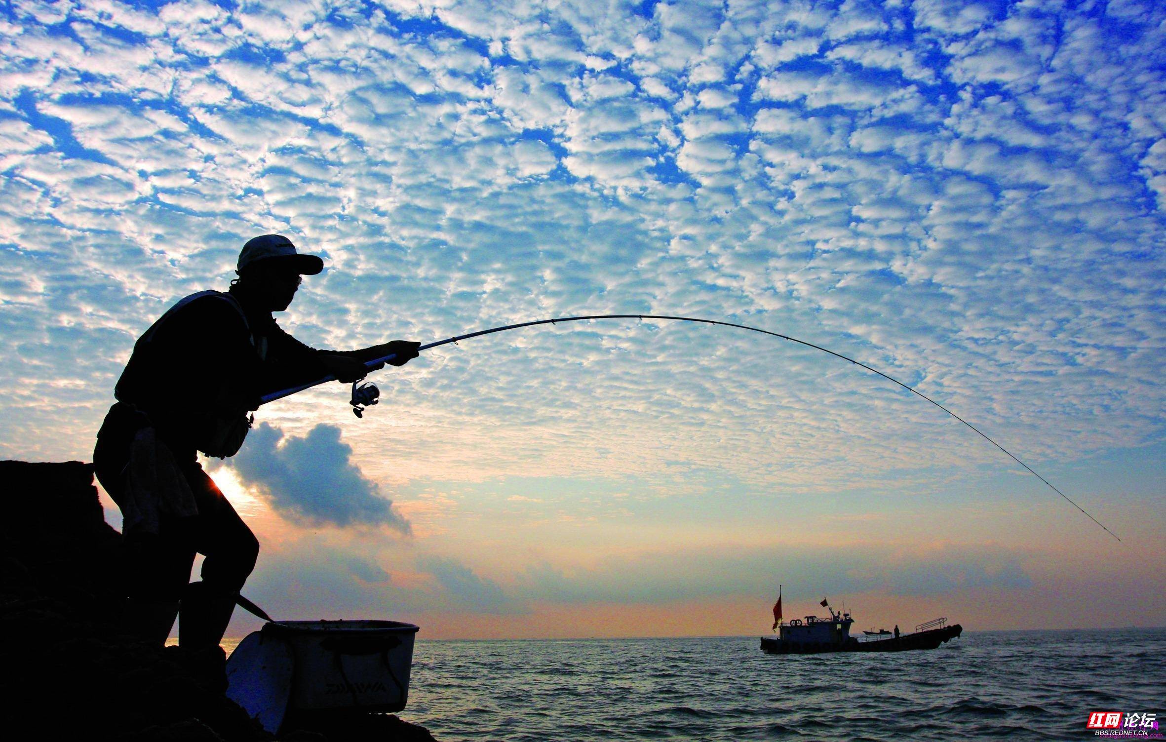 國內最好的釣魚app排行榜_最熱門的釣魚app_2020年最好的釣魚軟件