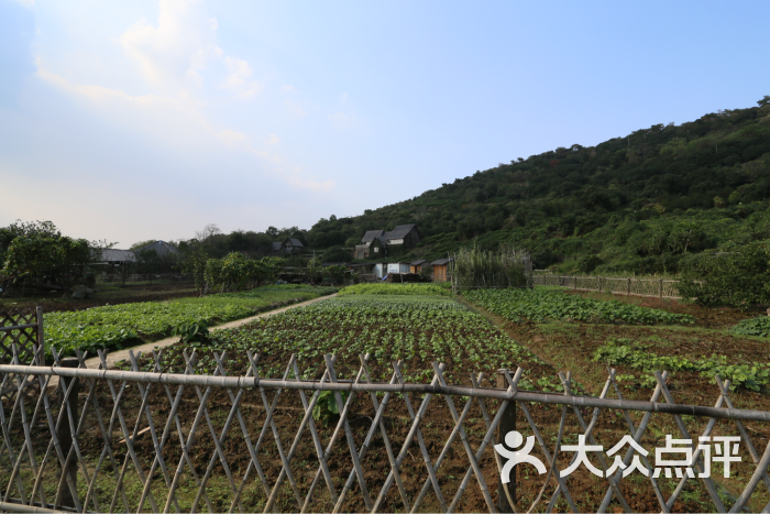無錫農家樂_無錫農家樂飯店_江蘇無錫農家樂旅游景點