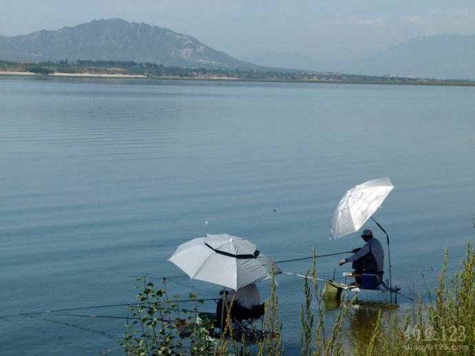 魚樂無限是什么意思_無限魚干_魚樂無限