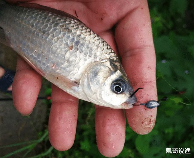 無限魚樂垂釣園_無限魚樂釣椅_魚樂無限