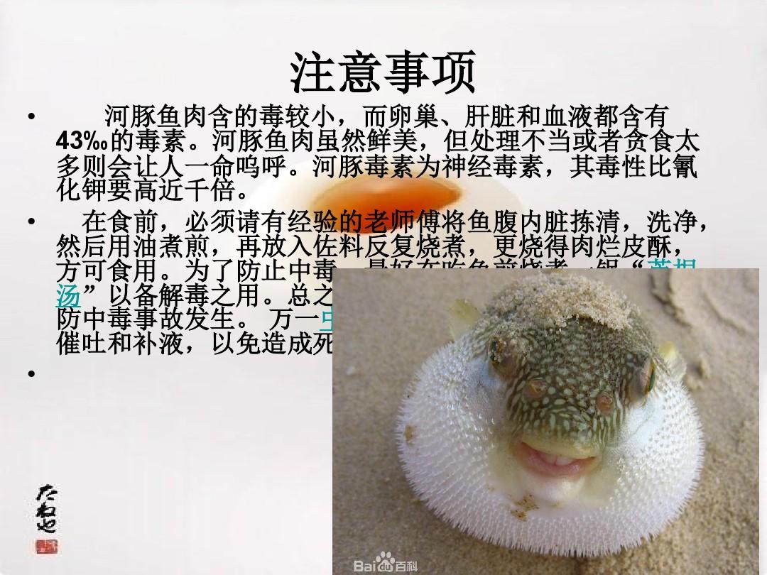 河豚養殖_養殖河豚多少錢一斤_養殖河豚可以公開賣嗎