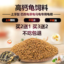 巴西龜耳朵越來越紅_巴西紅耳龜_巴西龜耳朵紅的好還是不紅的好