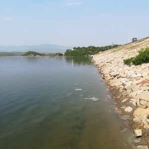 成都釣魚水庫_附近免費釣魚水庫_水庫釣魚