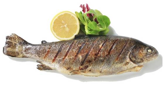 魚我所欲也_魚泡網_多寶魚