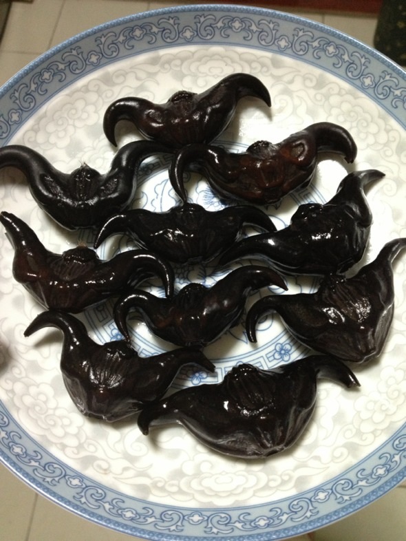 魚我所欲也_多寶魚_魚火肴魚火鍋