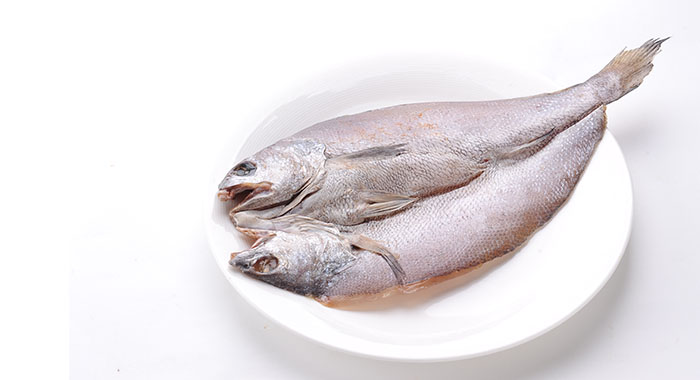 耗兒魚名字怎么來的_耗兒魚是啥_耗兒魚是什么魚