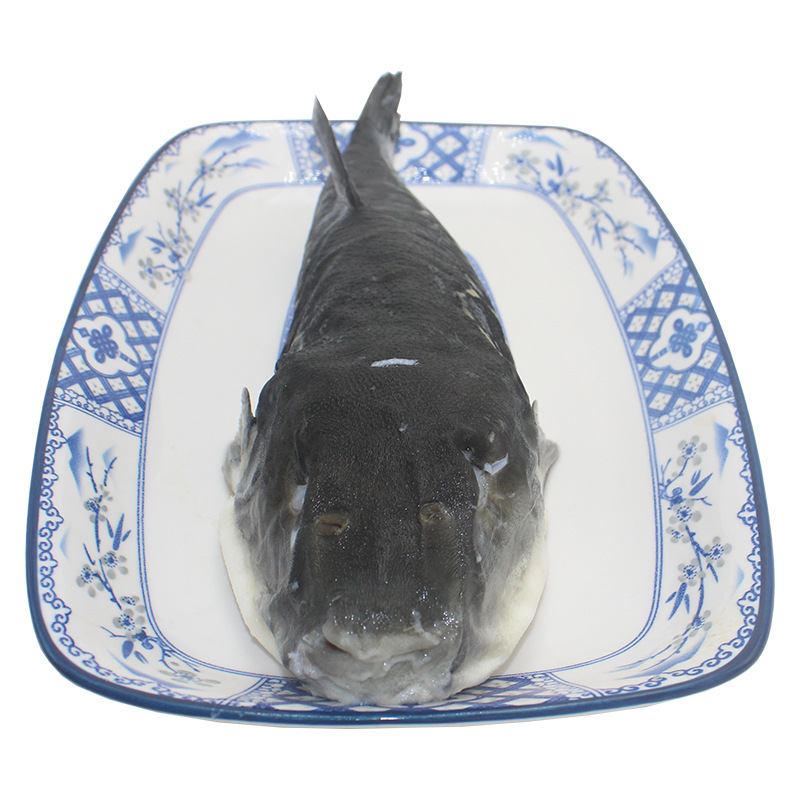 最常見的魚皮剝除方法_剝皮魚是什么魚_魚剝皮怎么剝