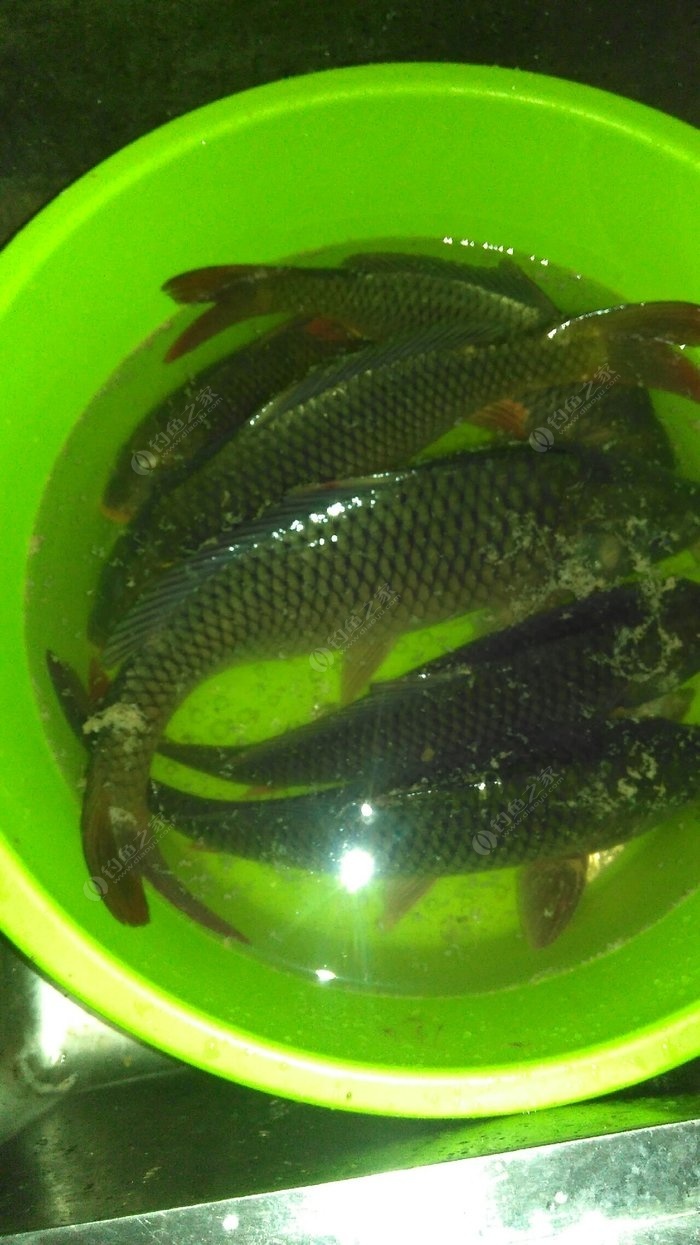《魔獸世界》WLK懷舊服釣魚專業1—450級速沖攻略