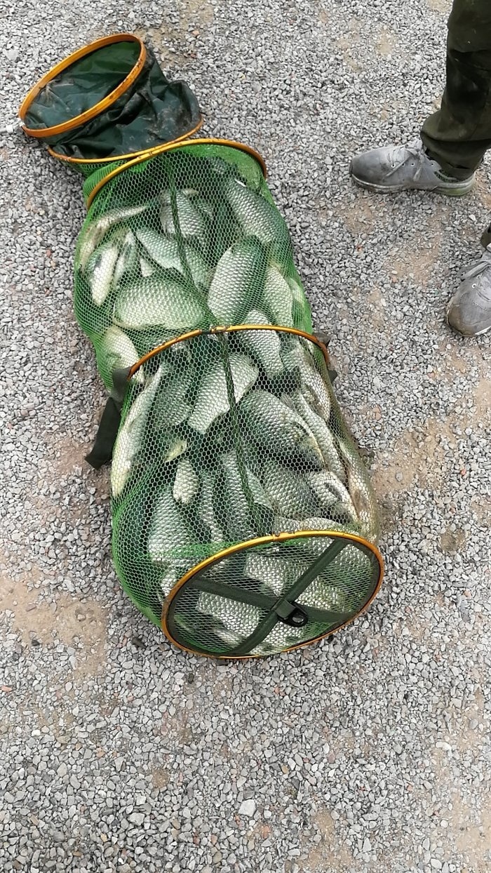奧金釣魚竿_奧金釣魚竿和釣魚神器_奧金魚竿和幽光魚竿