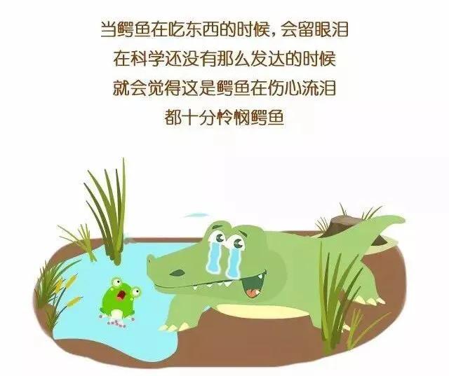 鱷魚的眼淚_鱷魚眼淚毒品圖片_鱷魚眼淚