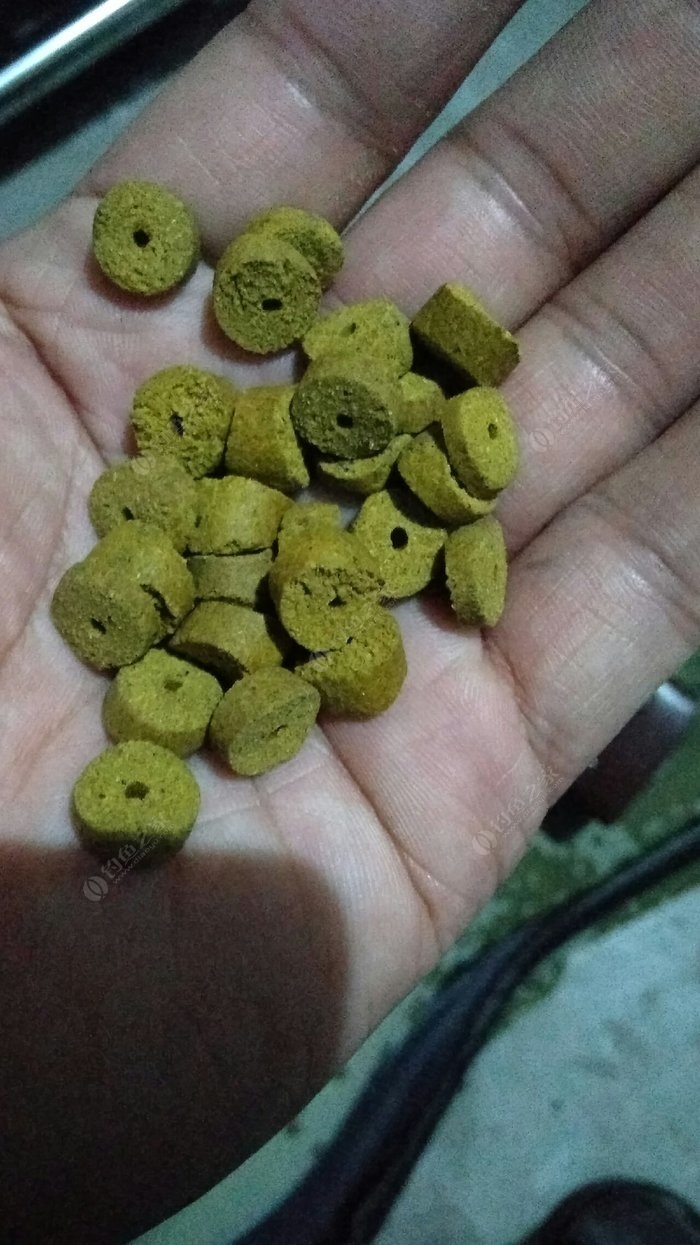 釣魚丁香油的用法_丁香油釣魚_釣魚丁香油制作
