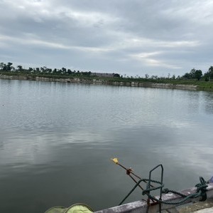 釣魚冬天怎么釣_冬天釣魚_釣魚冬天打窩多久能釣到魚