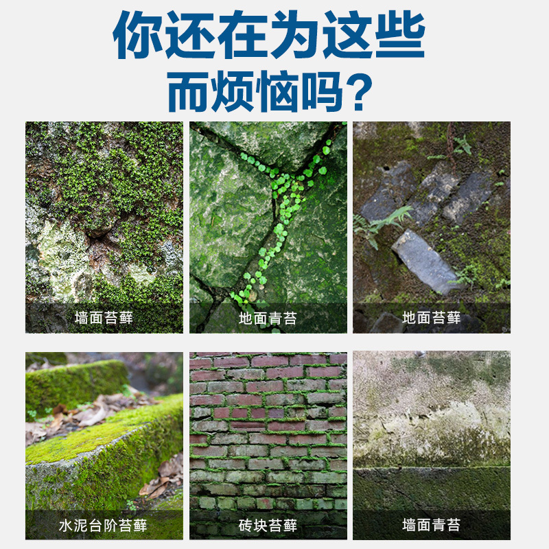 青苔怎么去除_去除青苔的藥_84能不能去除青苔