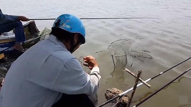 釣青魚珠珠調漂的正確方法_釣青魚調漂的正確方法_青魚怎么釣