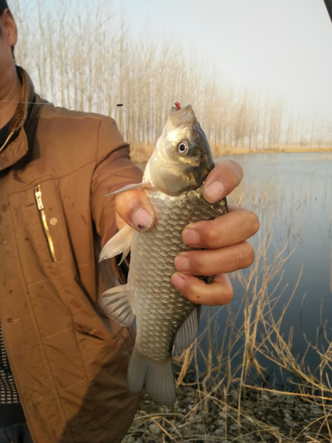 釣青魚調漂的正確方法_青魚怎么釣_釣青魚珠珠調漂的正確方法