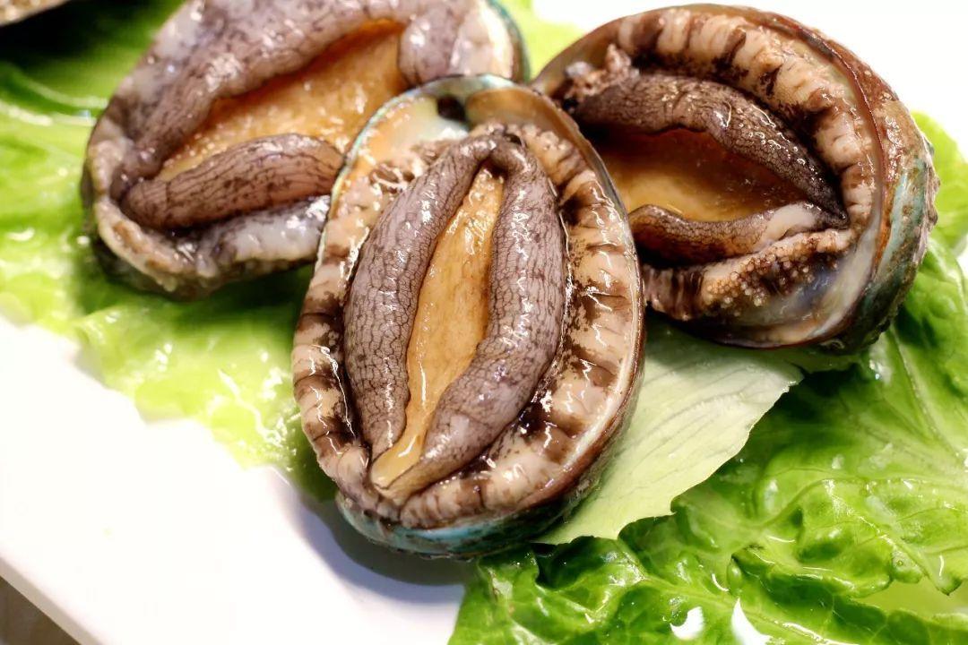 鮑魚吃哪一部分_鮑魚吃啥部位_鮑魚主要是吃什么部位