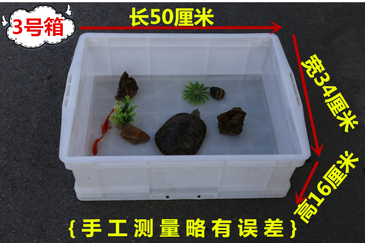 烏龜吃生肉還是熟肉_烏龜吃什么食物_烏龜吃什么