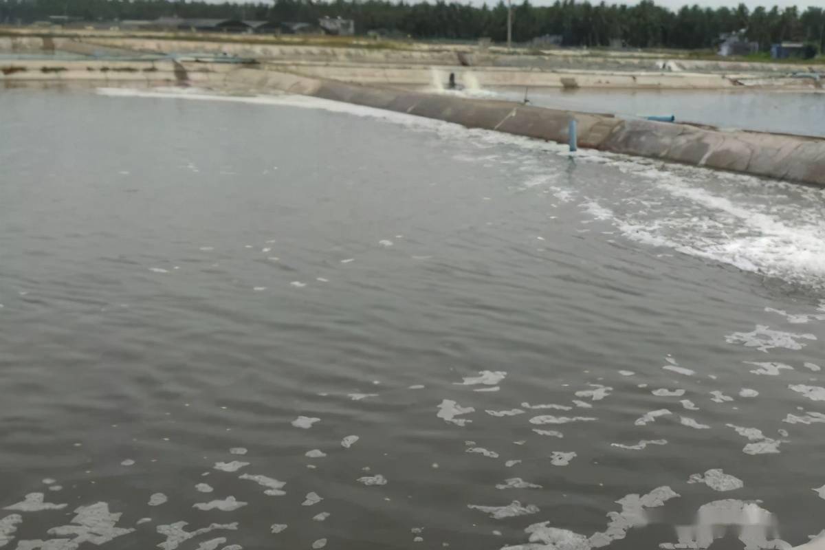 水產魚藥網_水產魚藥_前十名水產魚藥大廠家