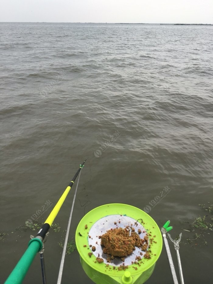 釣魚大風天釣深還是釣淺_大風天釣魚_釣魚大風天怎么元釣位
