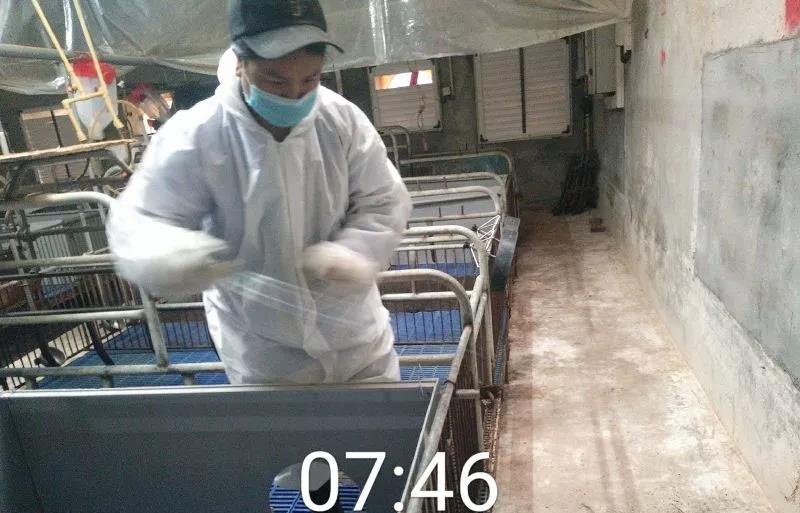 人工養殖鱘魚多少錢一斤_人工養殖鱘魚是什么魚_人工養殖鱘魚好吃嗎