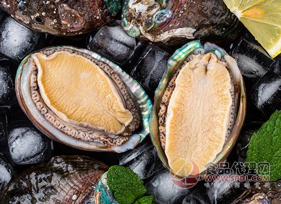 鮑魚營養價值高不高_鮑魚的營養價值_鮑魚營養價值和功效與作用